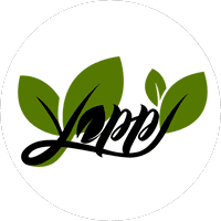 Yappi Food
