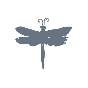 DragonFly Studio