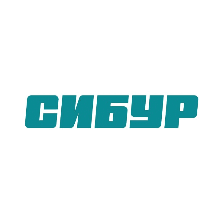 СИБУР, Группа компаний